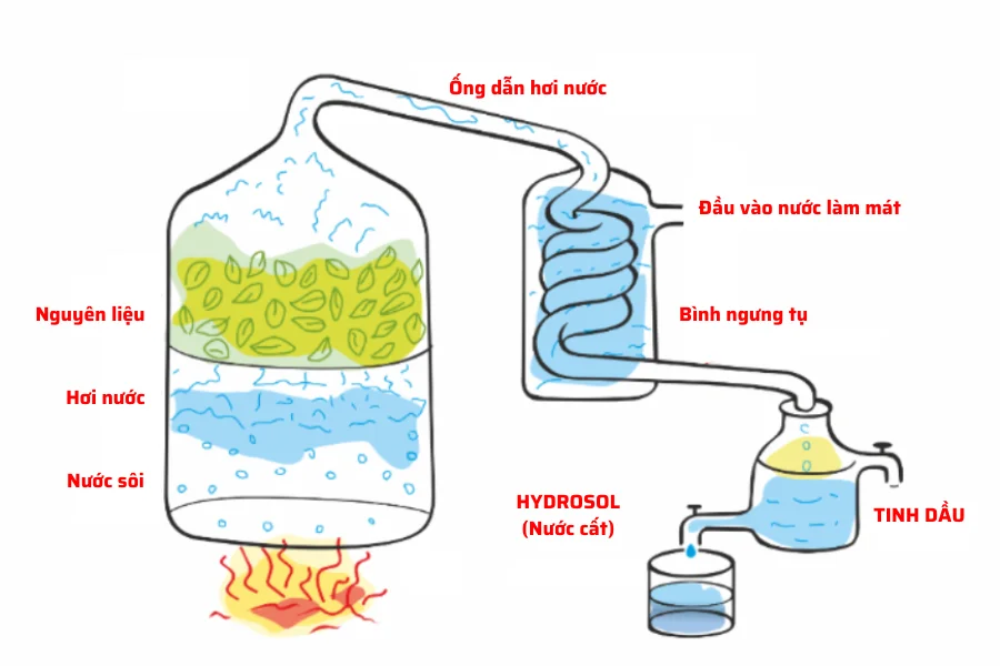 Nguyên lý chưng cất nồi chưng cất tinh dầu