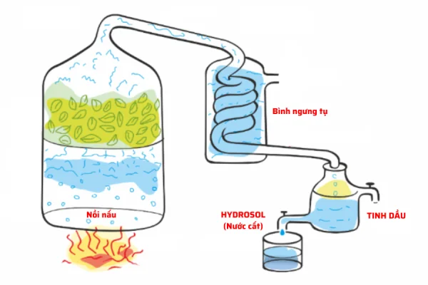 Điều cơ bản cần biết nếu muốn trở thành chuyên gia chưng cất tinh dầu