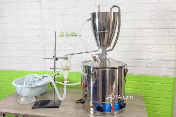 5 bước làm tinh dầu sả tại nhà cực dễ với nồi chưng cất mini