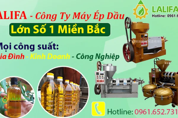 10 câu hỏi về máy ép dầu thực vật được quan tâm nhất là gì?