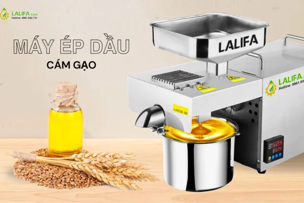 Máy ép dầu cám gạo và những lợi ích không ngờ khi sử dụng