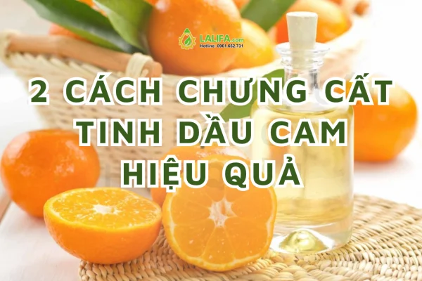 2 cách chưng cất tinh dầu cam tại nhà không phải ai cũng nói cho bạn biết