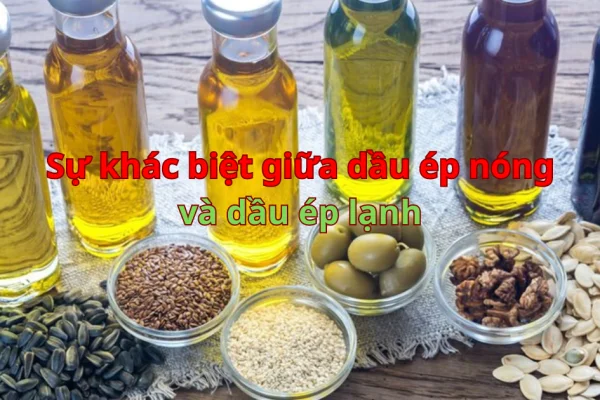 Sự khác biệt giữa dầu ép nóng và dầu ép lạnh là gì?