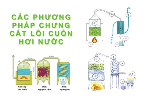 Các phương pháp chưng cất lôi cuốn hơi nước phổ biến bạn nên biết