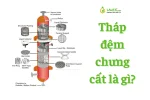 thap-dem-chung-cat-la-gi-2