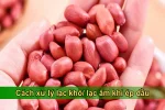 Cách xử lý lạc ẩm, lạc khô khi ép dầu: Bí kíp từ chuyên gia LALIFA