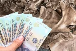 Top 5 hội nhóm mua bán bã dầu lạc uy tín trên facebook