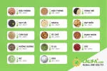 Top 10 nguyên liệu ép dầu phổ biến tại Việt Nam