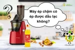 Máy ép chậm có ép được dầu lạc không - Hỏi đáp cùng LALIFA