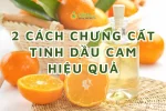 2 cách chưng cất tinh dầu cam tại nhà không phải ai cũng nói cho bạn biết