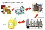 Quy trình ép dầu thực vật cơ bản của các nhà máy ép dầu