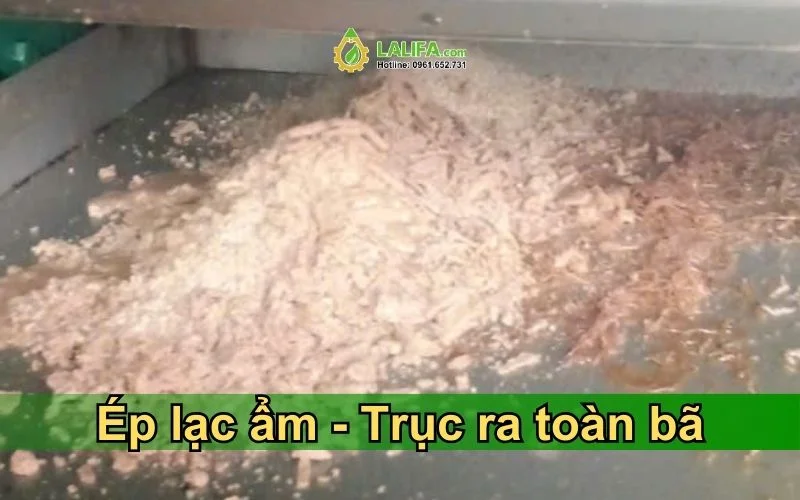 lac-ep-dau-dau-phong-ep-dau-1