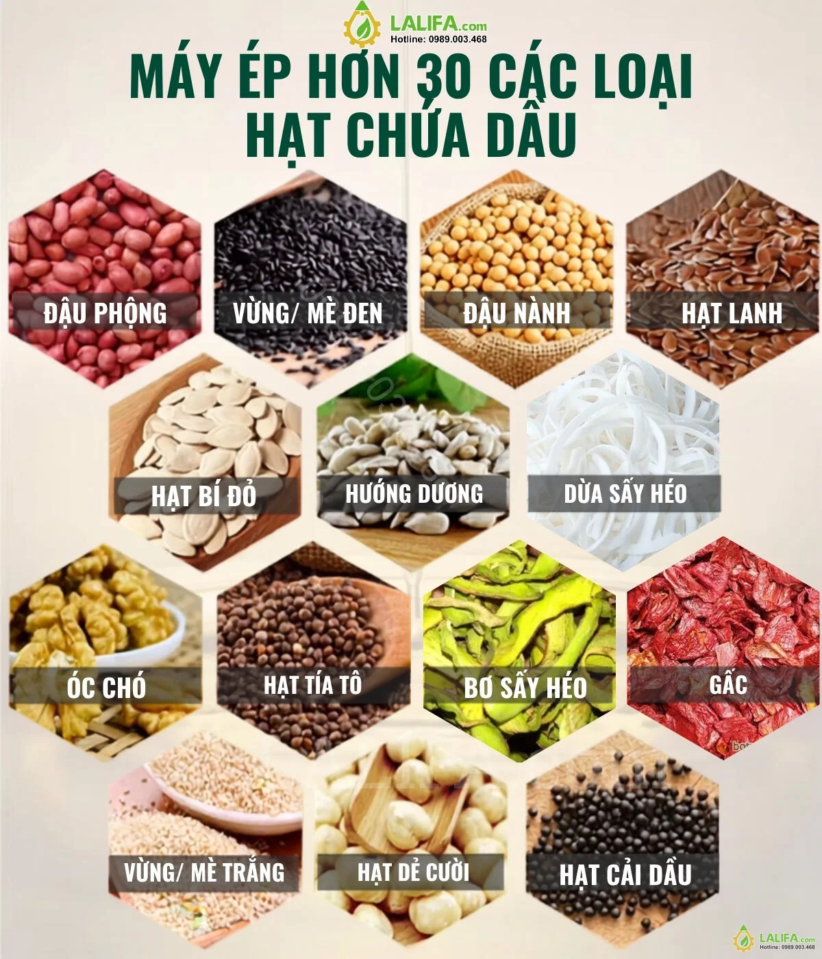 may-ep-dau-thuc-vat-gia-dinh-mini-LYF-501-15