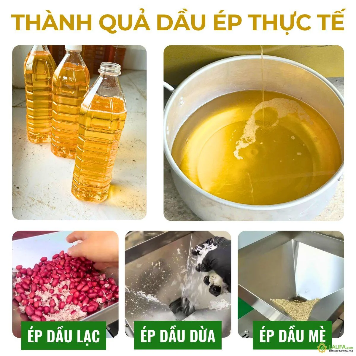 may-ep-dau-kinh-doanh-nho-gia-dinh-6-8-kg-gio-lyf-t91-18