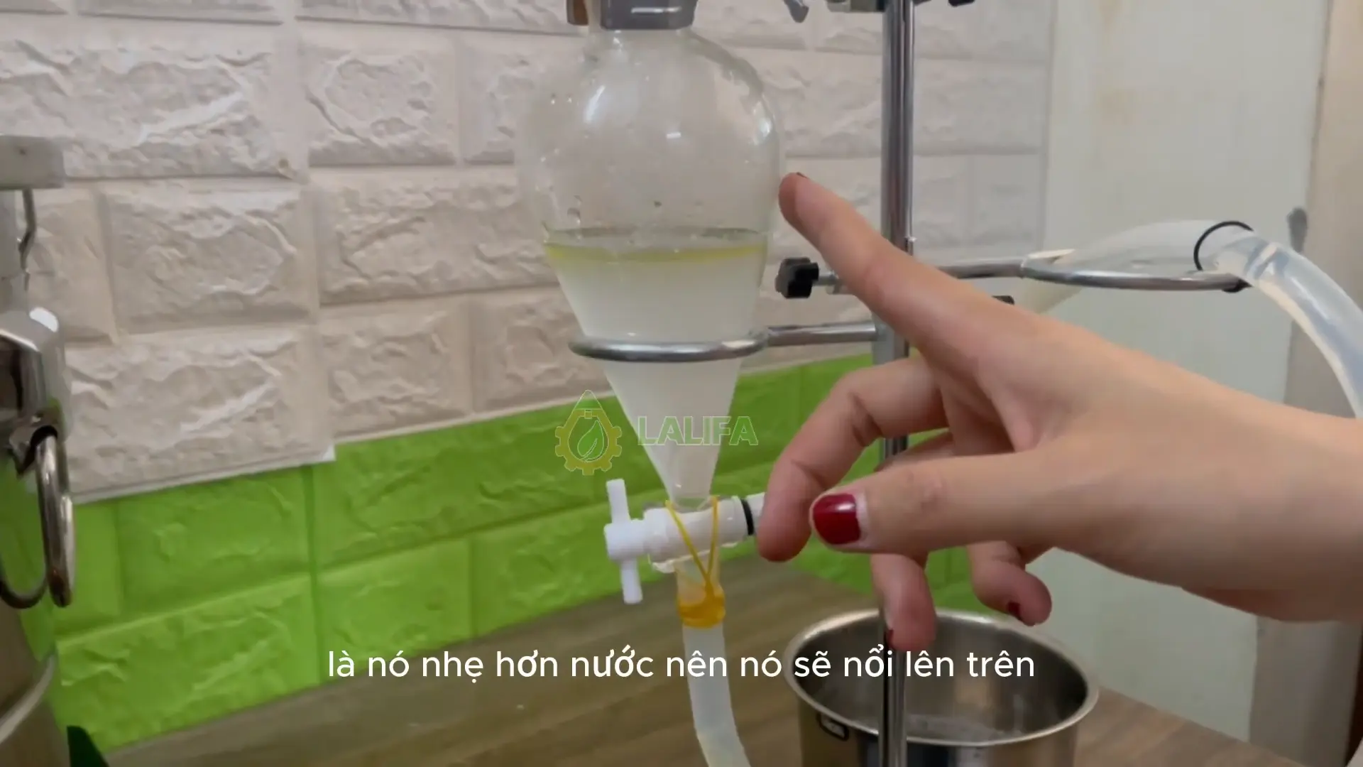 Tinh dầu sả chanh thu được nổi bên trên, nước cất chìm ở dưới