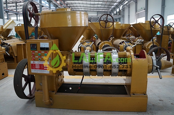 Máy ép dầu lạc Guangxin YZYX-140WK kiểm soát nhiệt độ bằng tủ điện điều khiển tự động